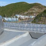 Bird Deterrent Systems For All Structures | Goleman