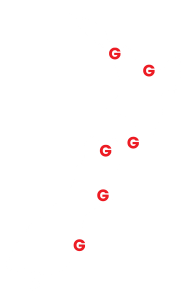 Goleman-location-Around New Zealand
