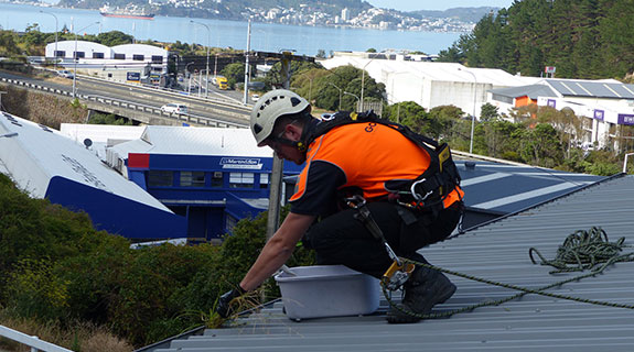 Gutter Cleaning & Inspection