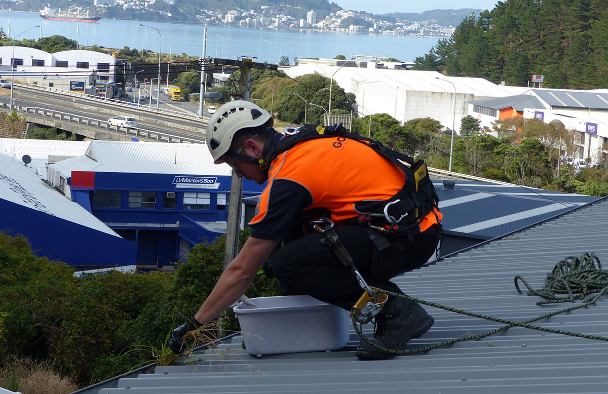 Why Gutter and Roof Maintenance Protects More Than Just Your Roof