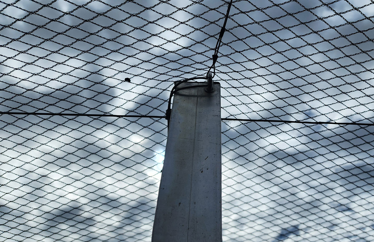 Bird Deterrent Systems: Protecting Your Property from Damage and Health Risks